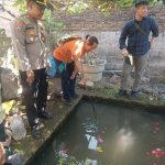 Ditinggal Ganti Popok, Balita di Situbondo Tewas Tenggelam di Kolam Ikan