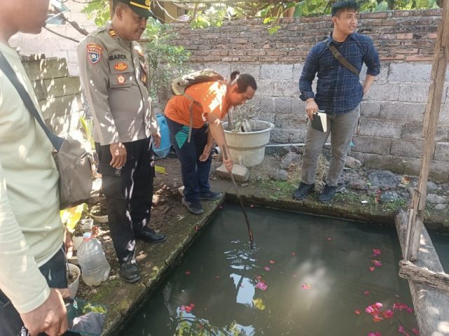 Ditinggal Ganti Popok, Balita di Situbondo Tewas Tenggelam di Kolam Ikan
